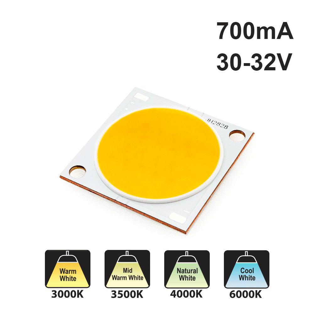 Constant Current COB LED Module, 700mA