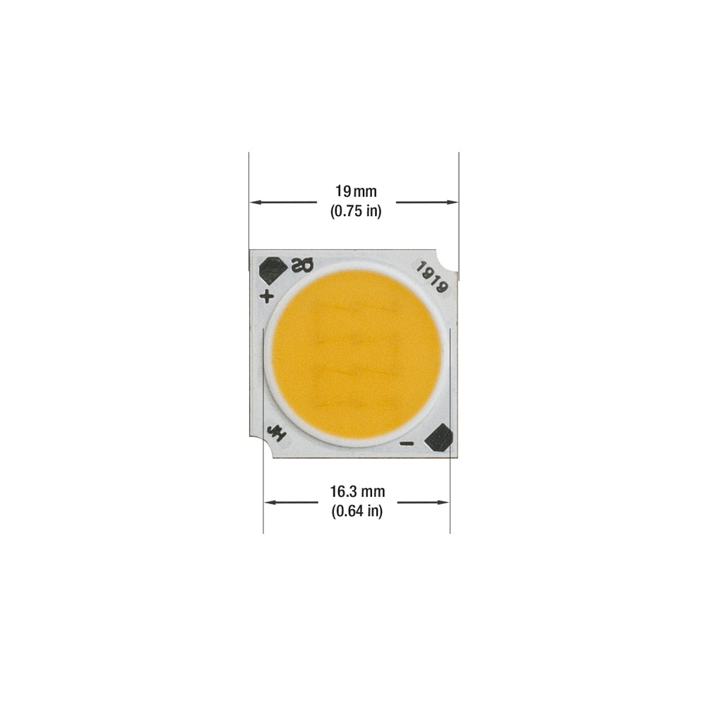 Constant Current COB LED Module, 350mA