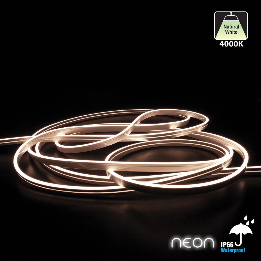 10M LED Neon Light Strip 4000K IP66 Waterproof