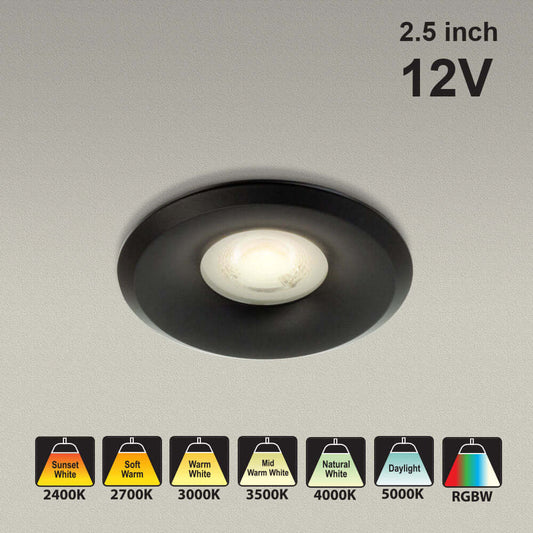 VBD-MTR-8B Low Voltage LED Downlight - Black 2.5"