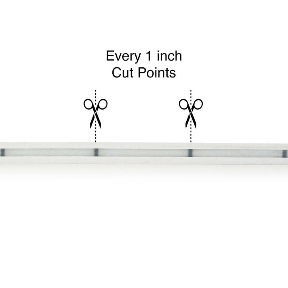 5M LED Neon Light Strip VBD-N0606-3000-SF-W