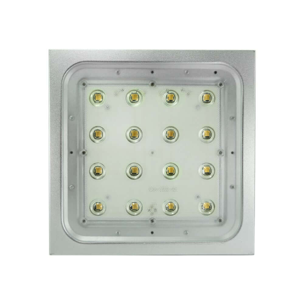 22W Warm White Square Ceiling Mount Downlights