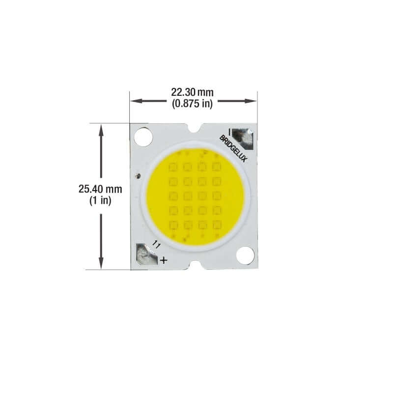 BXRA-56C1600-B COB LED Module - 500mA 14.8W 5600K