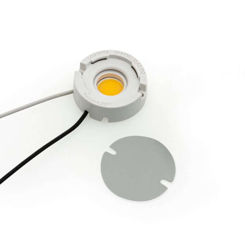 COB Paragon LED Module 120V 6W 4000K Natural White