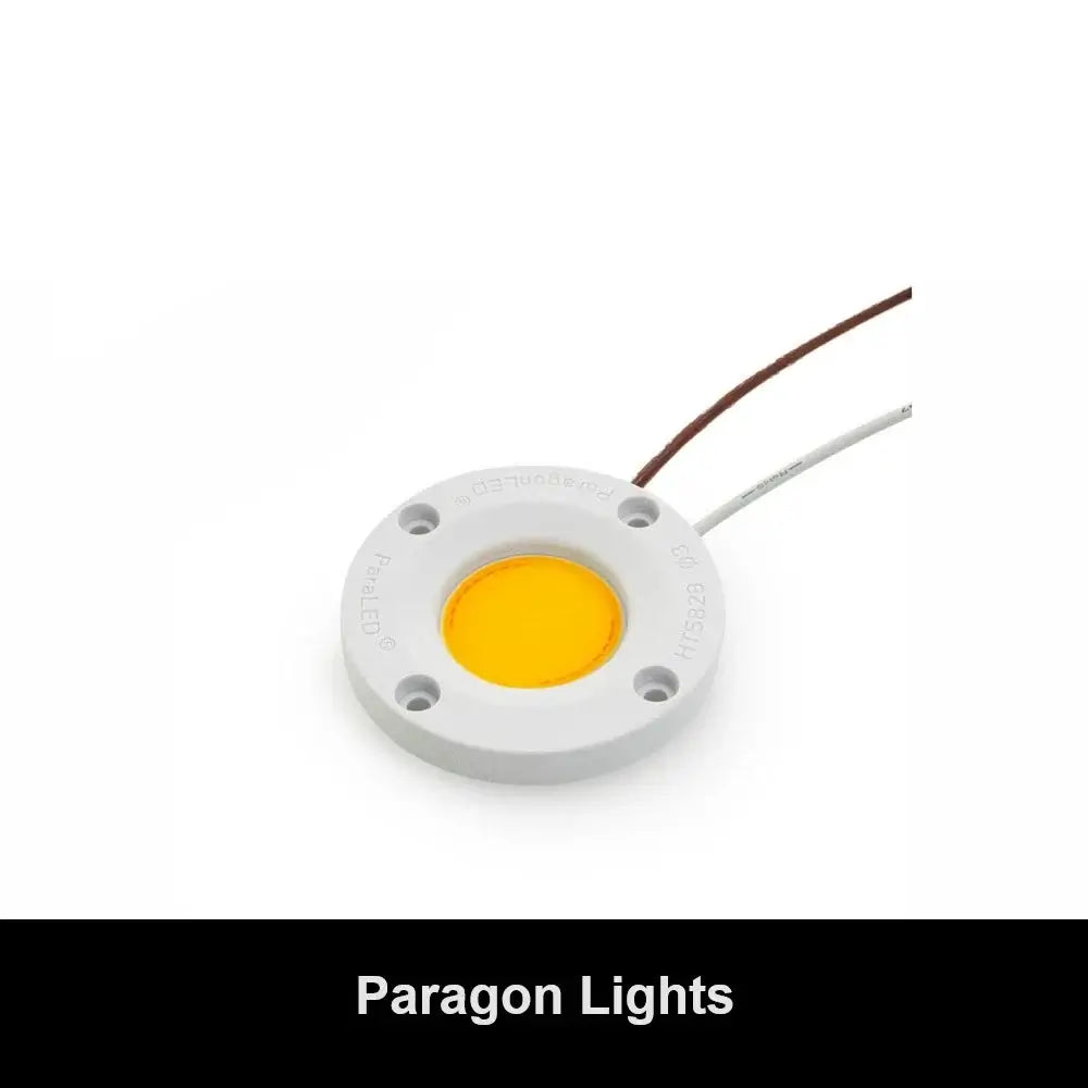 Paragon LED Module Lights