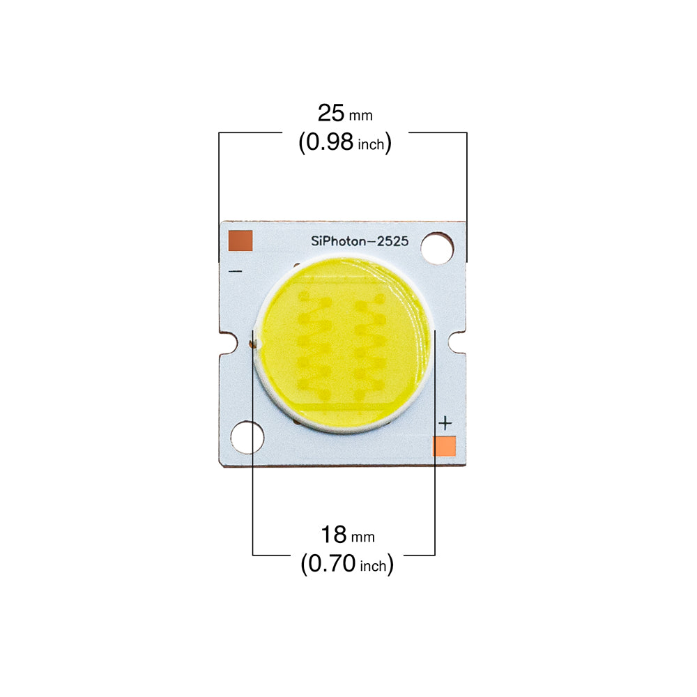 20W Constant Current COB LED Chip 6000K(Cool White)