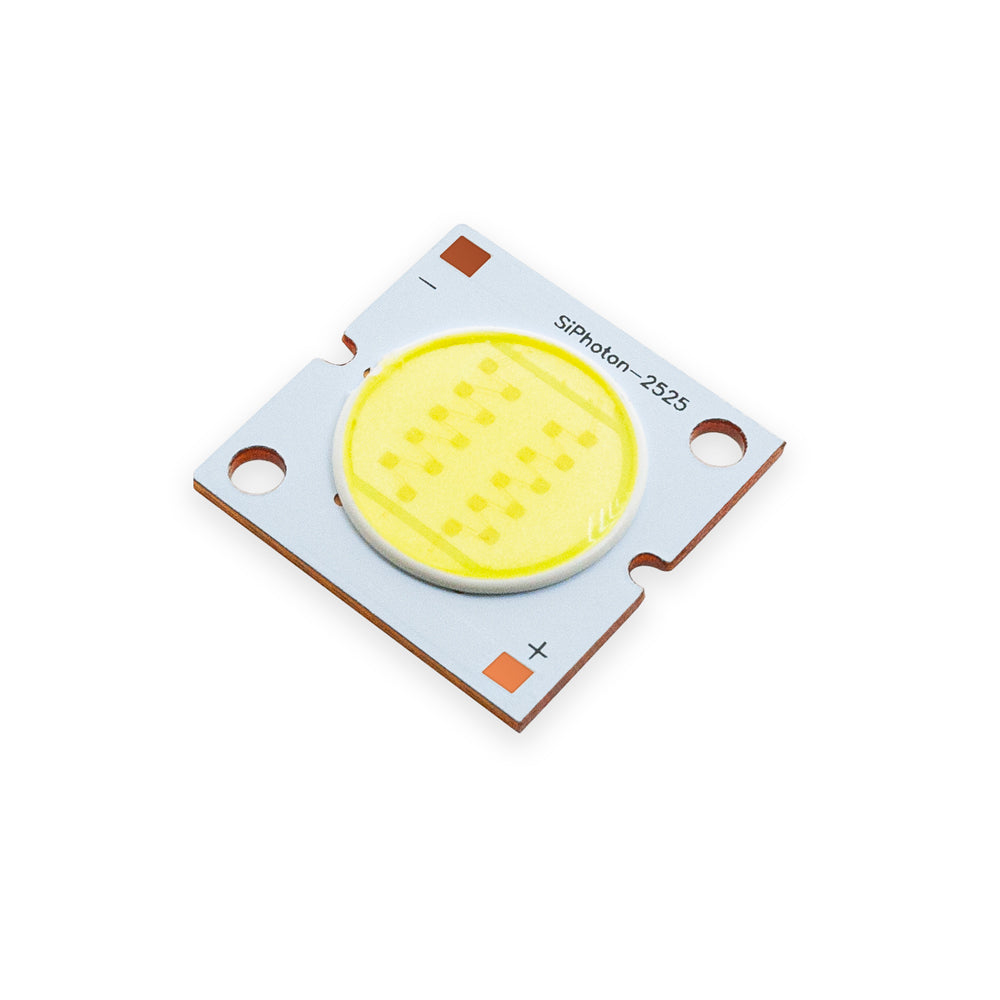 20W Constant Current COB LED Chip 6000K(Cool White)