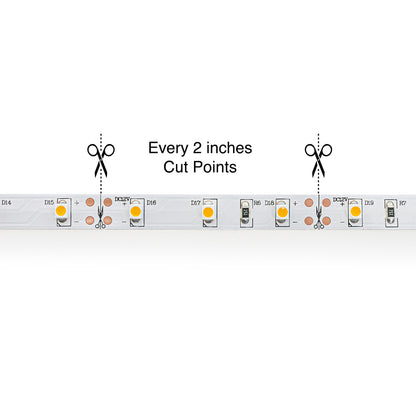 5M(16.4ft) Indoor LED Strip 3528, 12V 1.5(w/ft) 126-144(Lm/ft) 60(LEDs/m) CCT(2K, 2.4K, 8K ) - GekPower