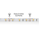 5M(16.4ft) Indoor LED Strip 3528, 12V 1.5(w/ft) 126-144(Lm/ft) 60(LEDs/m) CCT(2K, 2.4K, 8K ) - GekPower