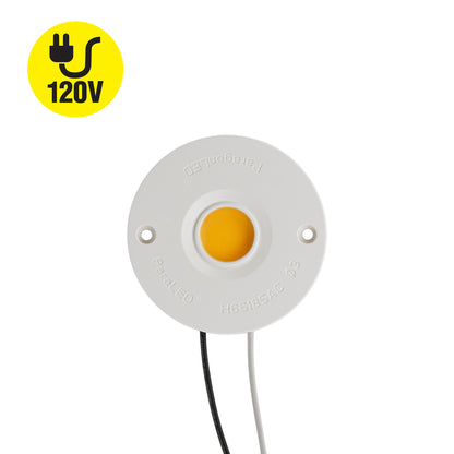 CDHT-042-36185-120-3000 G13 COB Paragon LED Module With H66185AC LED Holder,120V 18W 3000K(Soft White)