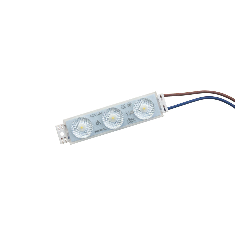 Outdoor Singel LED Module with 3 LEDs, 110V 1.5W, warm white 3000K for outdoor lighting solutions.