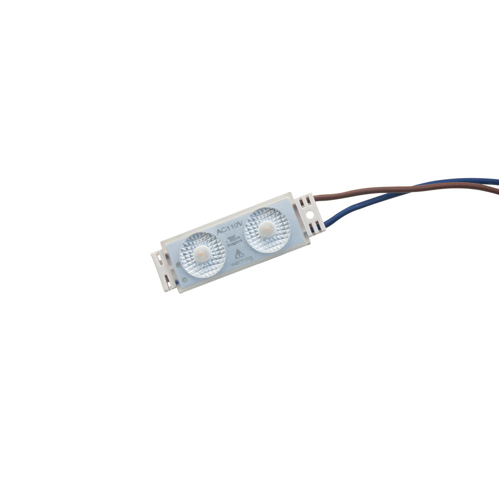 Outdoor Single LED Module, 110V 1.1W/pcs 2 LEDs, 3000K(Warm White)