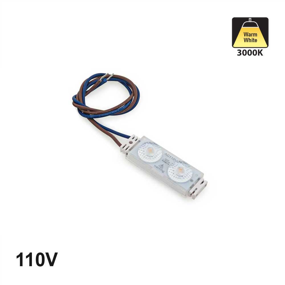 Outdoor Single LED Module, 110V 1.1W/pcs 2 LEDs, 3000K(Warm White)