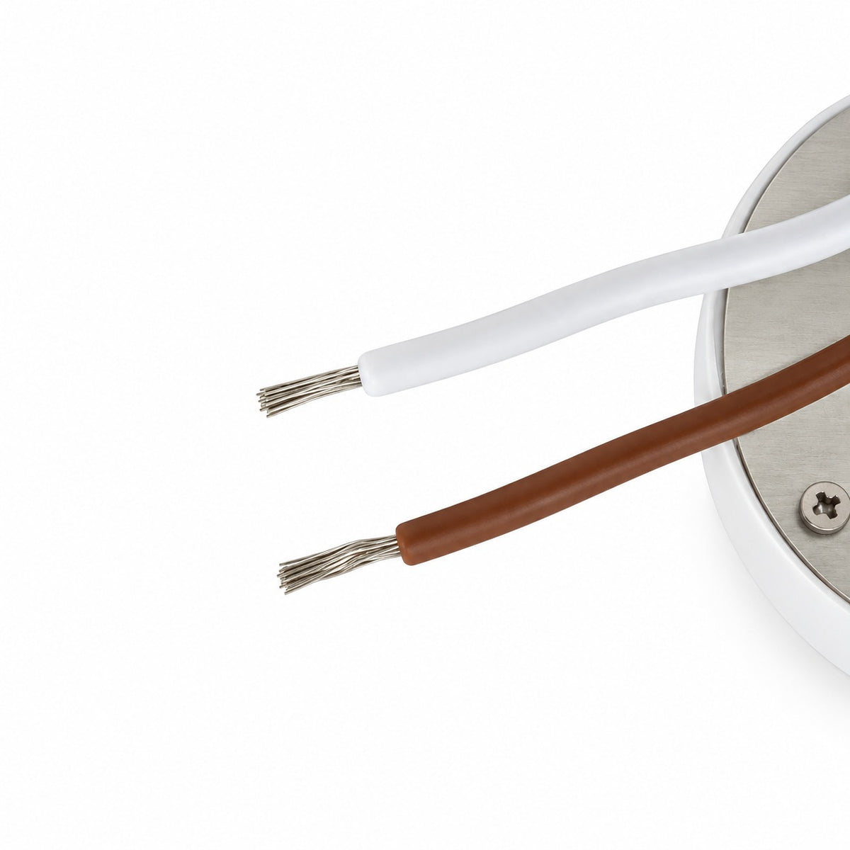 COB Paragon LED Module Light 347V 30W 3300Lm 5000K(Daylight), CDAC-136-5028-347-50 with HT5828 LED Holder