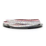 10M(32.8ft) Indoor LED Strip 3528, 12V 1.5(w/ft) 126-144(Lm/ft) 60(LEDs/m) CCT(2.7K, 6K) - GekPower