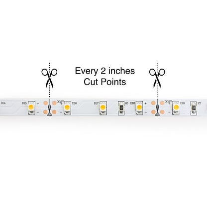 10M(32.8ft) Indoor LED Strip 3528, 12V 1.5(w/ft) 126-144(Lm/ft) 60(LEDs/m) CCT(2.7K, 6K) - GekPower