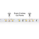10M(32.8ft) Indoor LED Strip 3528, 12V 1.5(w/ft) CCT(27K, 60K) led ribbon, led tape, color temperature Canada, British Columbia, North America.
