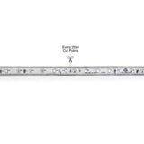 50M(164ft) Waterproof LED Strip 2835, High Voltage LED Strip Light with Power Plug, 120V 2(w/ft) Blue - GekPower