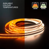 5M(16.4ft) Adjustable color temperature, Dim to Warm LED Strip, 24V 5(w/ft) 815-1018(Lm/ft) 336(LEDs/m) CCT(1.8K-4.2K Adjustable) - GekPower