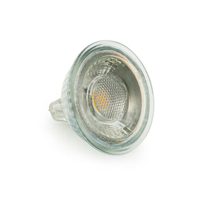 MR16 Bulb Glass type 12V 5W  3000K(Warm White)